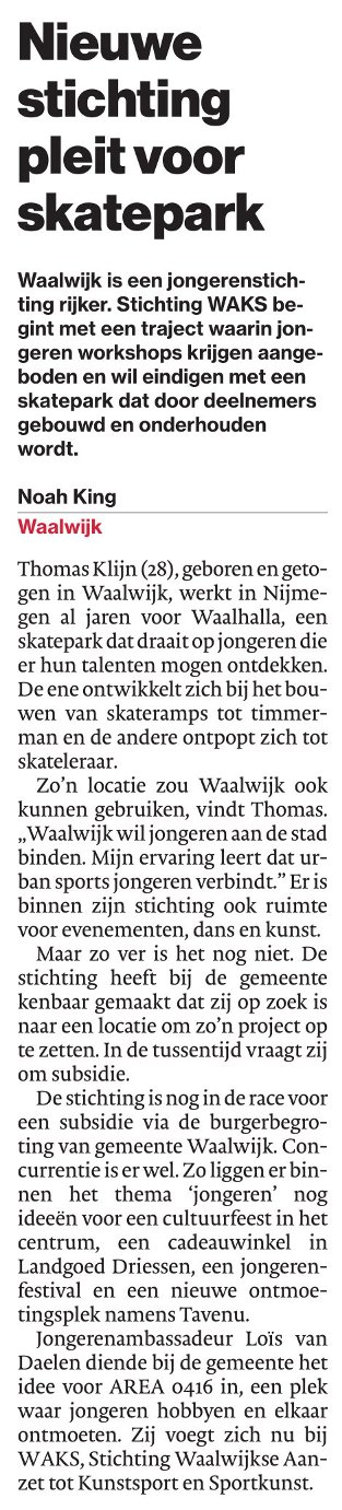 Nieuwe stichting pleit voor skatepark